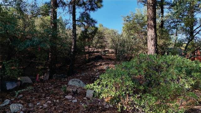 221 Hidden Dr, Prescott, AZ 86303 - photo 3