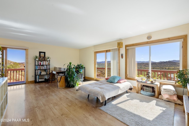 living room with a mountain view and light wood-type flooring