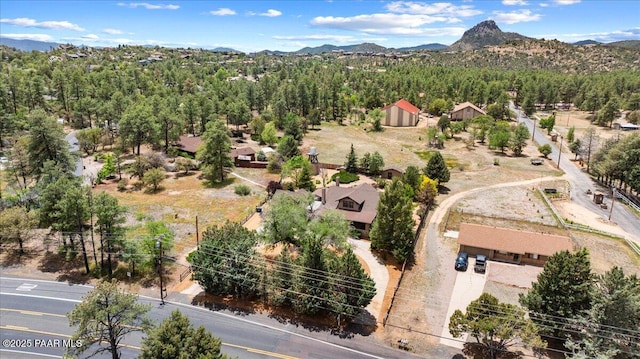 2877 Iron Springs Rd, Prescott, AZ 86305 - photo 34