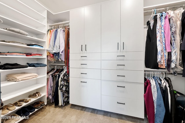 12612 E E Side Saddle Ln, Prescott Valley, AZ 86315 - view of spacious closet