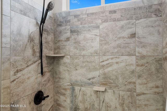 12612 E E Side Saddle Ln, Prescott Valley, AZ 86315 - bathroom view of tiled shower
