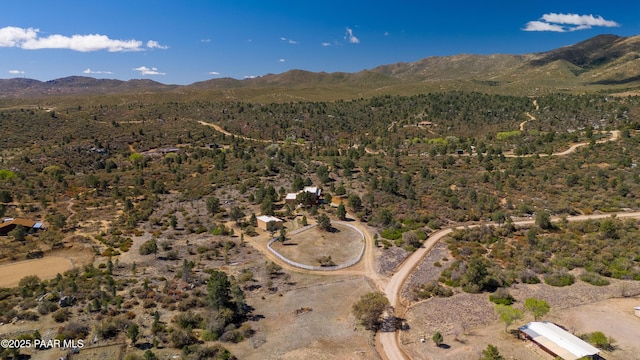 17129 Buckhorn Dr, Peeples Valley, AZ 86332 - photo 3
