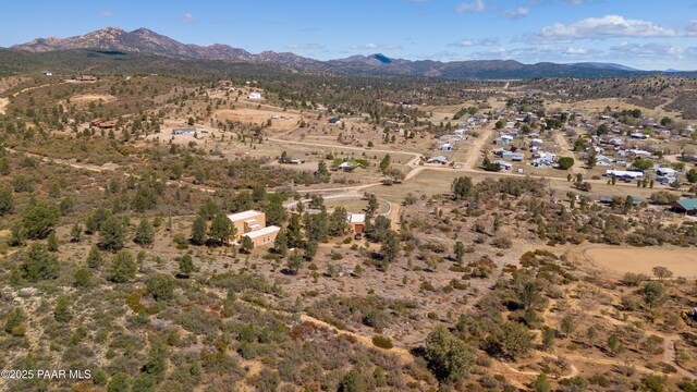17129 Buckhorn Dr, Peeples Valley, AZ 86332 - photo 9