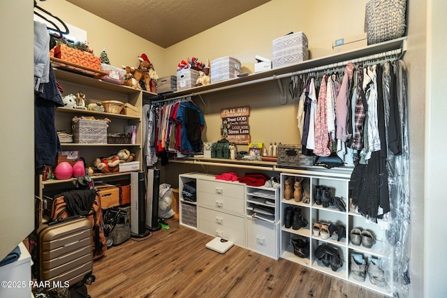 walk in closet with wood finished floors