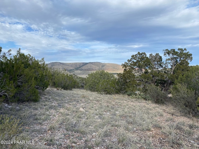 55251 N Bridge Canyon Pkwy, Seligman AZ, 86337 land for sale