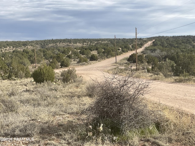 Listing photo 2 for 55251 N Bridge Canyon Pkwy, Seligman AZ 86337