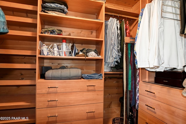 view of spacious closet