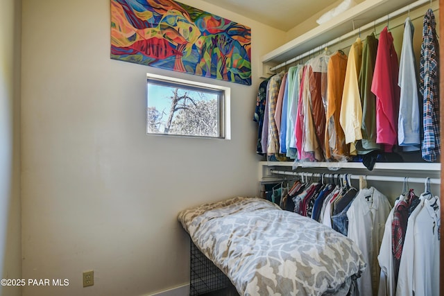 view of walk in closet