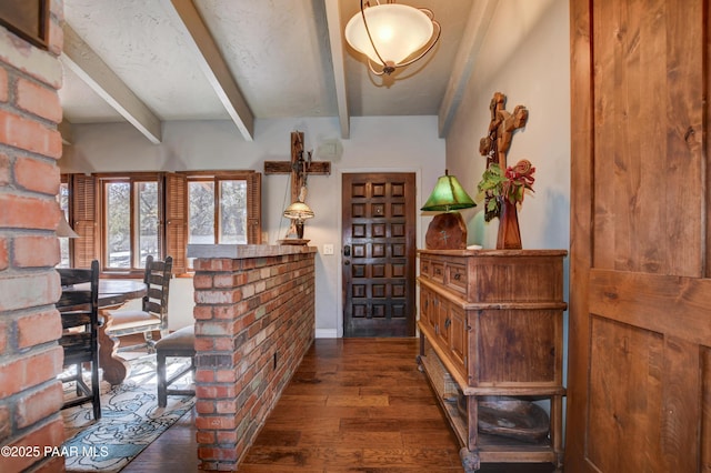 kitchen with a barn door, butcher block countertops, dark hardwood / wood-style floors, and stainless steel gas cooktop