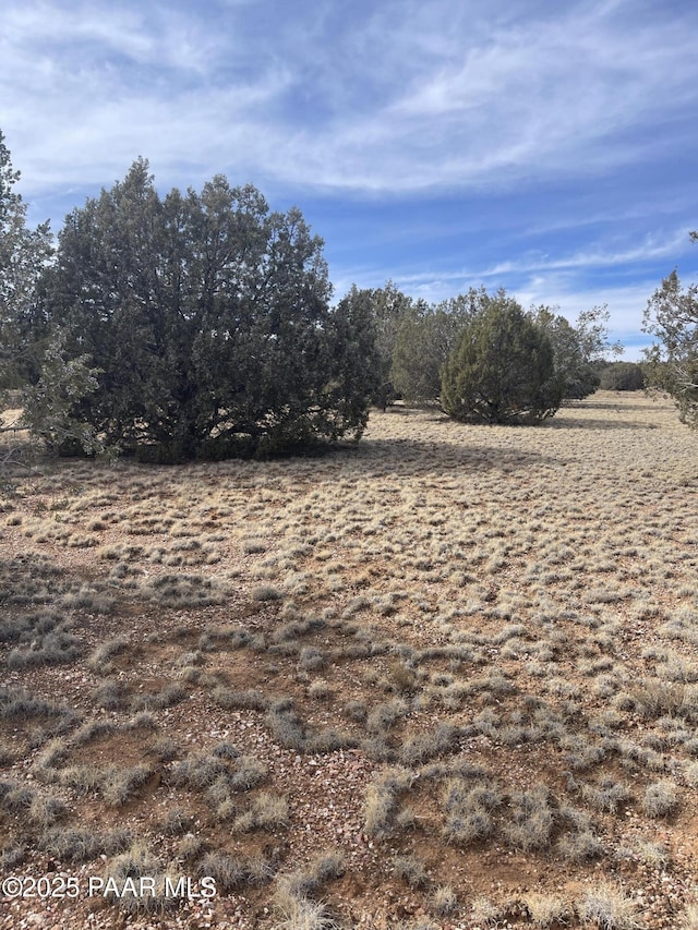 Listing photo 3 for 54372 Via De Oro Pkwy, Seligman AZ 86337