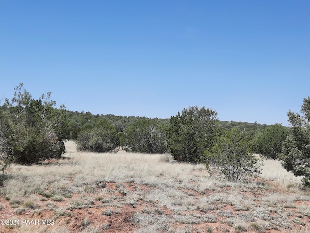 56673 N La Carro Ln, Seligman AZ, 86337 land for sale