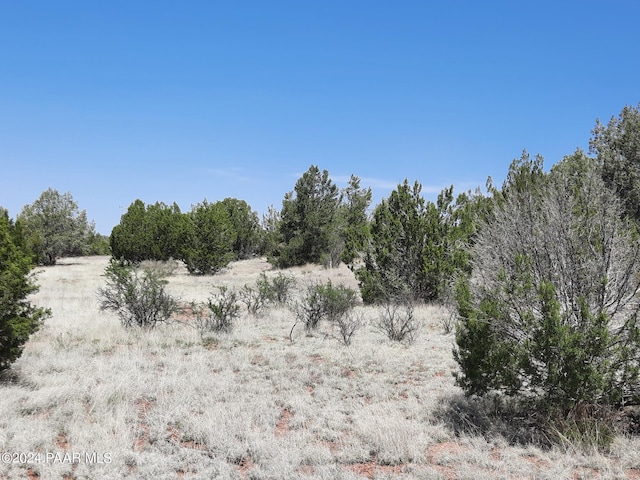 56673 N La Carro Ln, Seligman, AZ 86337 - photo 8