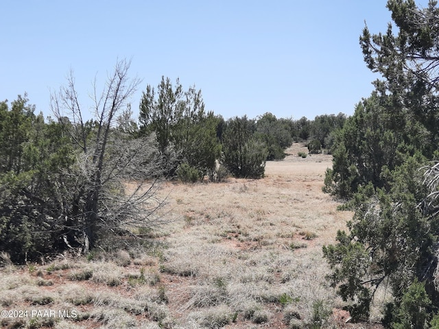 56673 N La Carro Ln, Seligman, AZ 86337 - photo 5