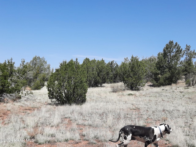 56673 N La Carro Ln, Seligman, AZ 86337 - photo 6