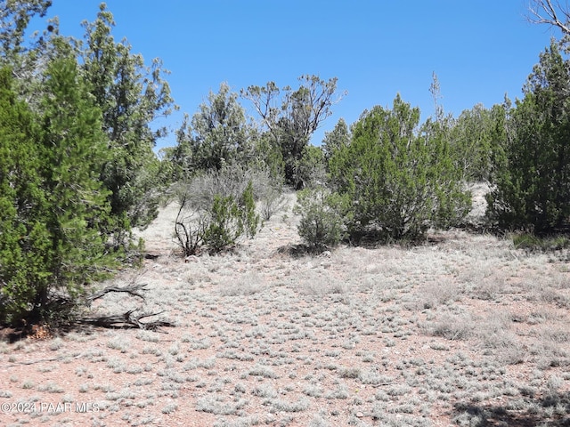56673 N La Carro Ln, Seligman, AZ 86337 - photo 7