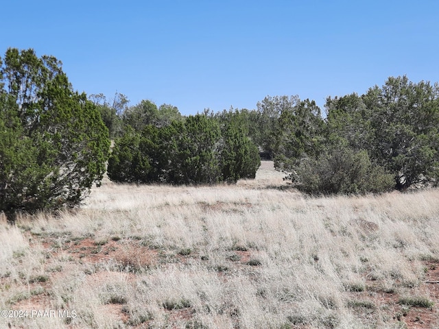 56673 N La Carro Ln, Seligman, AZ 86337 - photo 4
