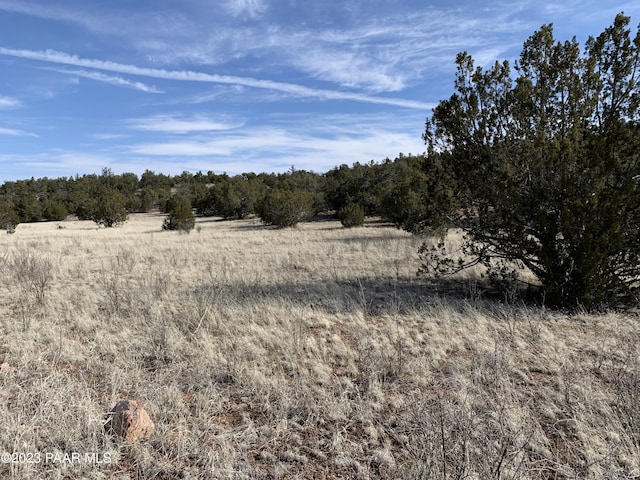 55469 N Cabra Ln, Seligman AZ, 86337 land for sale