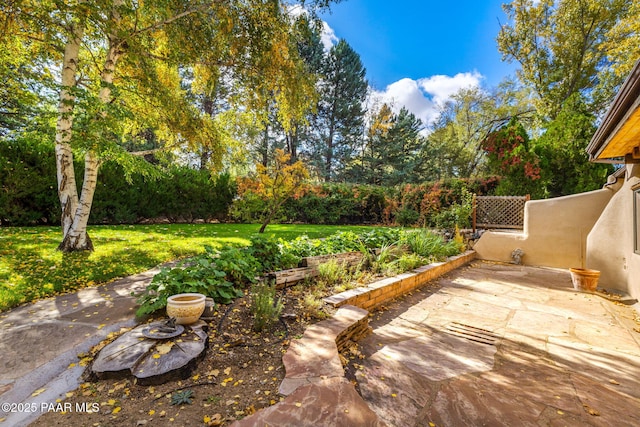 view of yard featuring a vegetable garden and a patio area