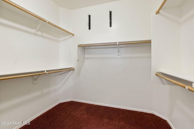 walk in closet featuring carpet flooring