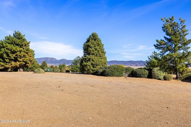 view of mountain feature