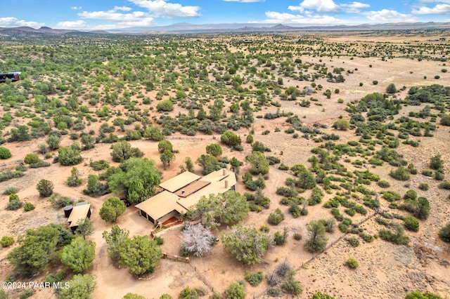 birds eye view of property featuring a mountain view