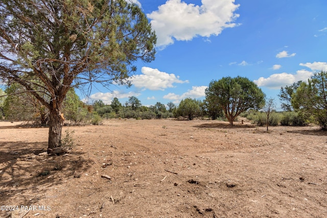 view of local wilderness featuring a rural view