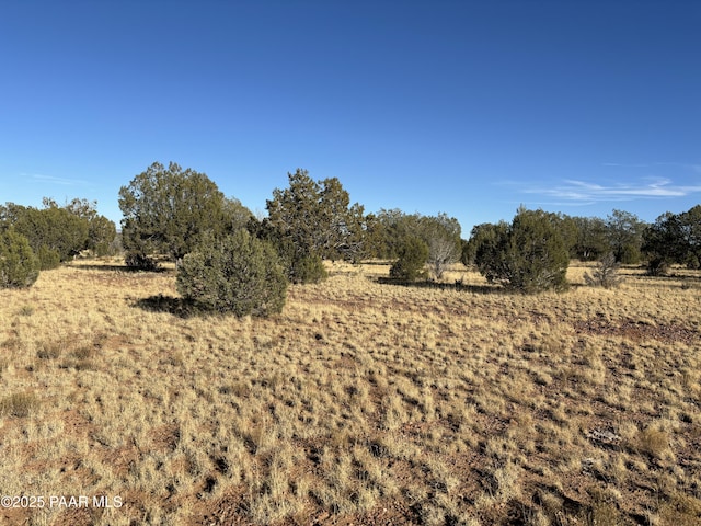 Listing photo 3 for 070a Denny, Seligman AZ 86337