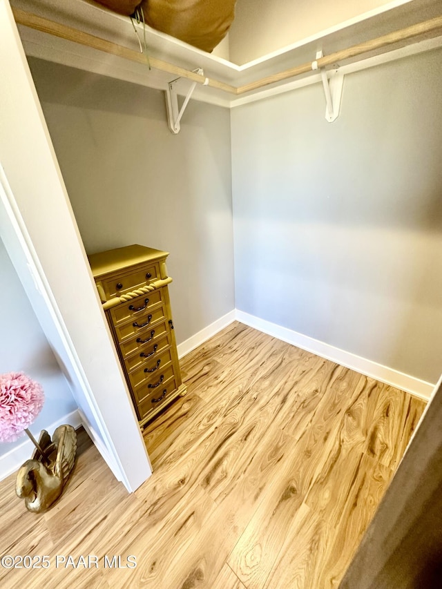 walk in closet featuring wood finished floors