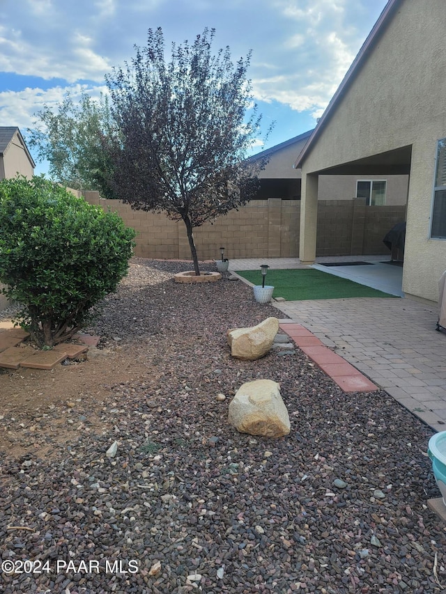 view of yard with a patio area