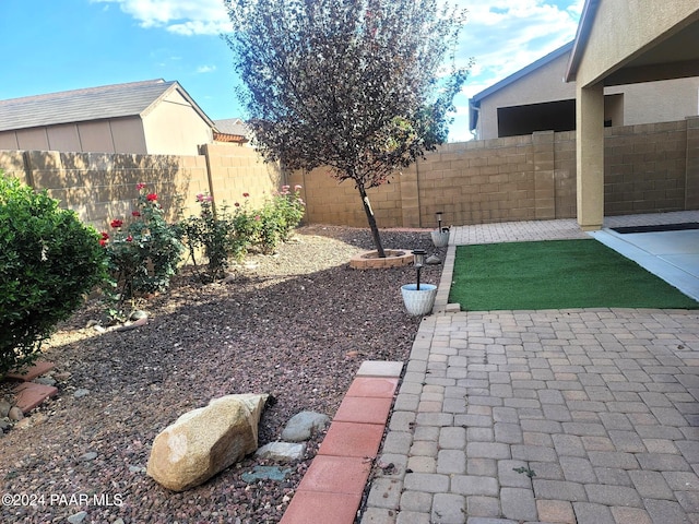 view of yard featuring a patio