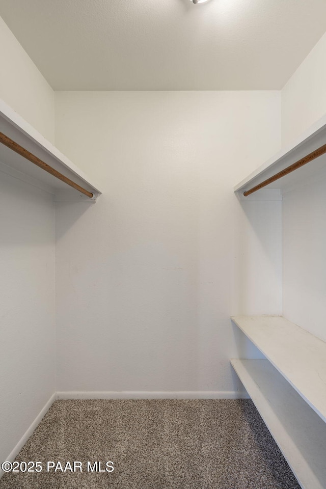 spacious closet featuring carpet floors