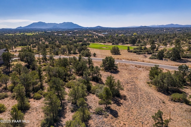 5876 W Maddie Ln, Prescott, AZ 86305