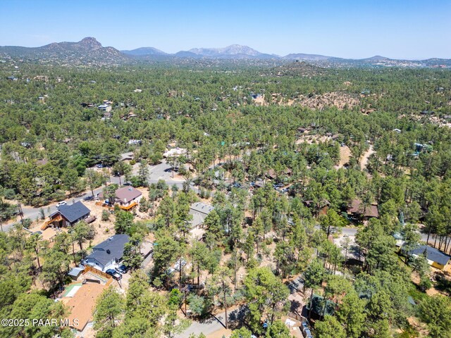 847 W Clubhouse Dr, Prescott, AZ 86303 - photo 66