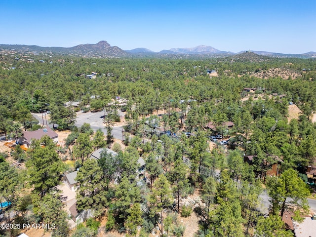 847 W Clubhouse Dr, Prescott, AZ 86303 - photo 68