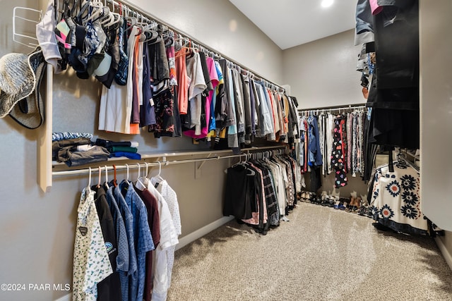 spacious closet featuring carpet