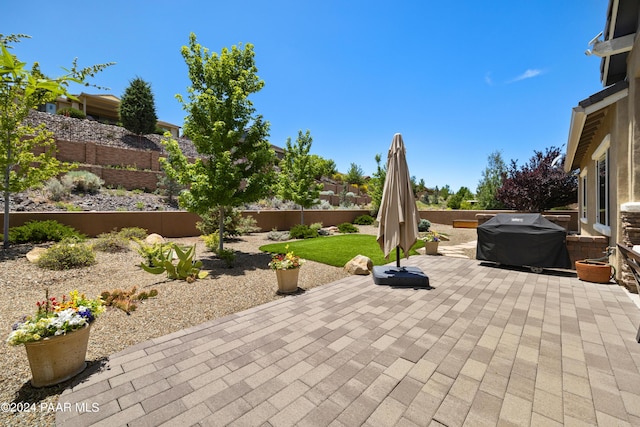 view of patio / terrace featuring area for grilling