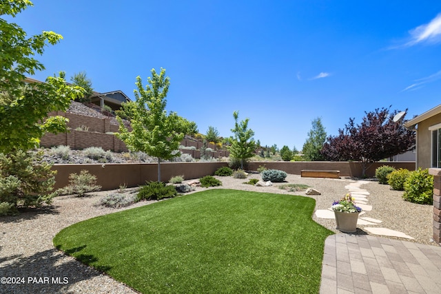 view of yard with a patio