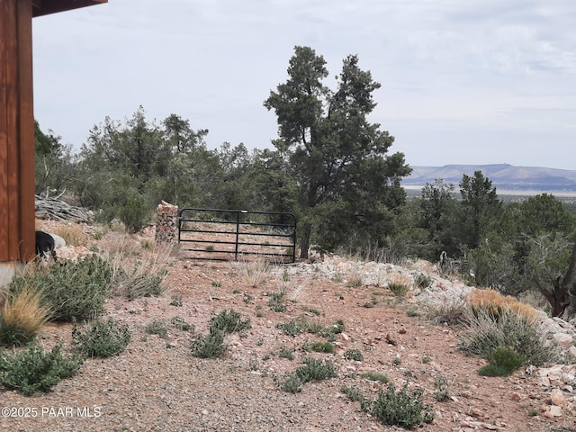 49203 N Sundance Way, Seligman, AZ 86337 - photo 13