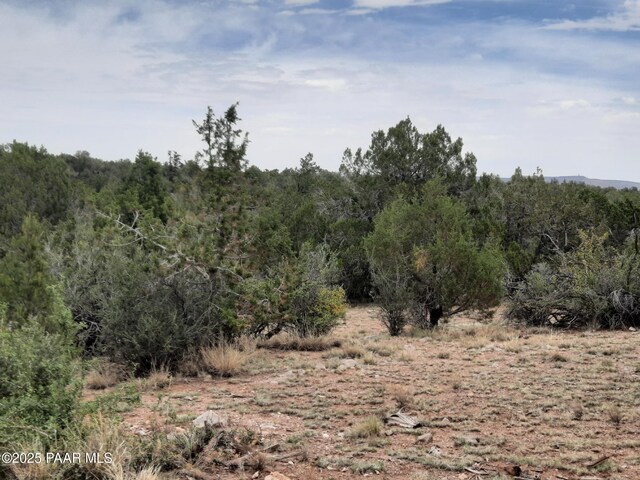 49203 N Sundance Way, Seligman, AZ 86337 - photo 30