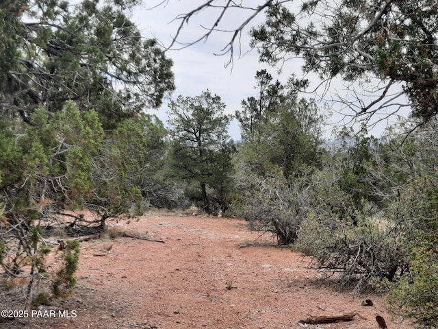 49203 N Sundance Way, Seligman, AZ 86337 - photo 29