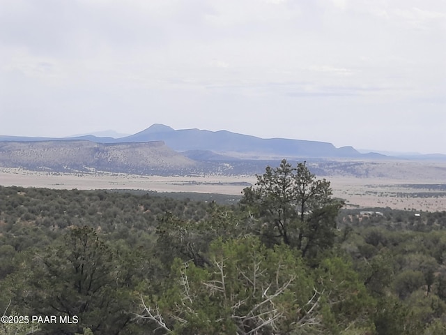 49203 N Sundance Way, Seligman, AZ 86337 - photo 1