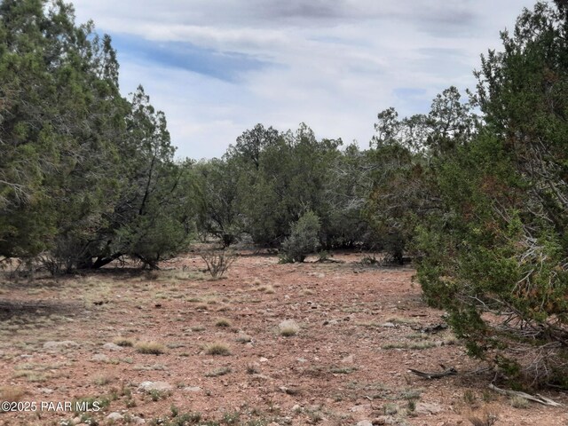 49203 N Sundance Way, Seligman, AZ 86337 - photo 31