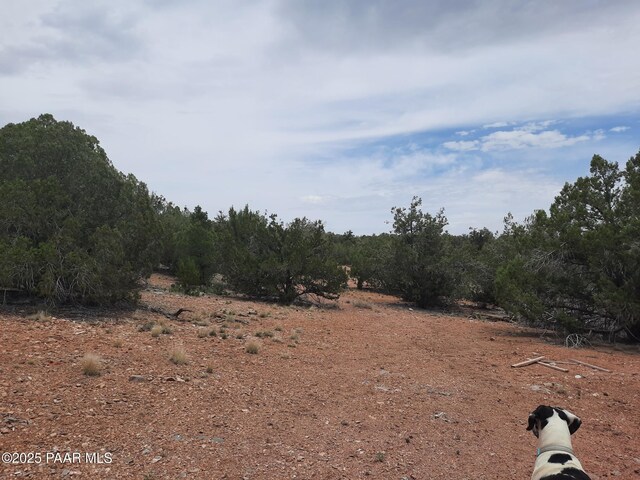 49203 N Sundance Way, Seligman, AZ 86337 - photo 24