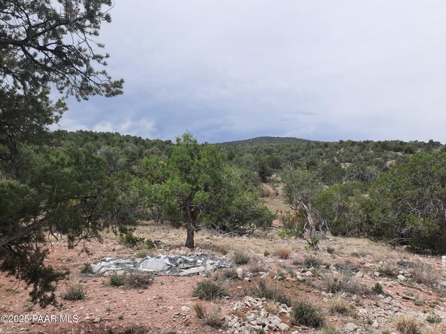 49203 N Sundance Way, Seligman, AZ 86337 - photo 22