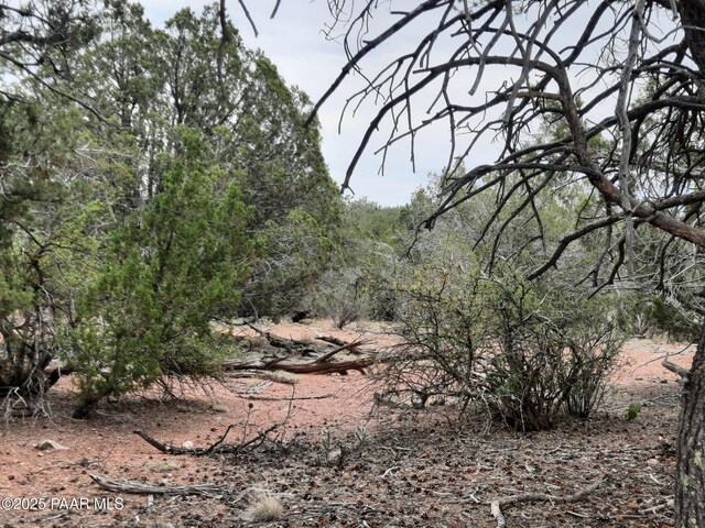 49203 N Sundance Way, Seligman, AZ 86337 - photo 28
