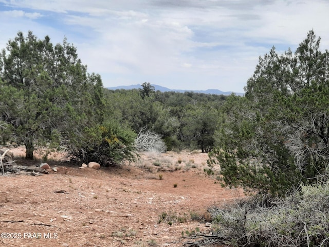 49203 N Sundance Way, Seligman, AZ 86337 - photo 25