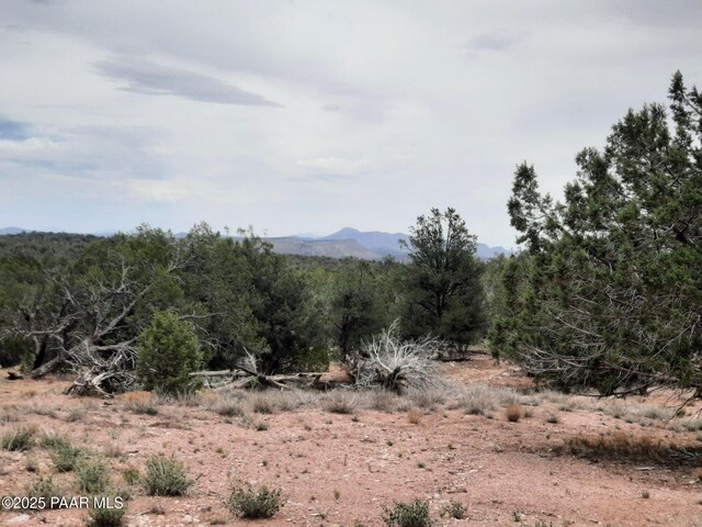 49203 N Sundance Way, Seligman, AZ 86337 - photo 27