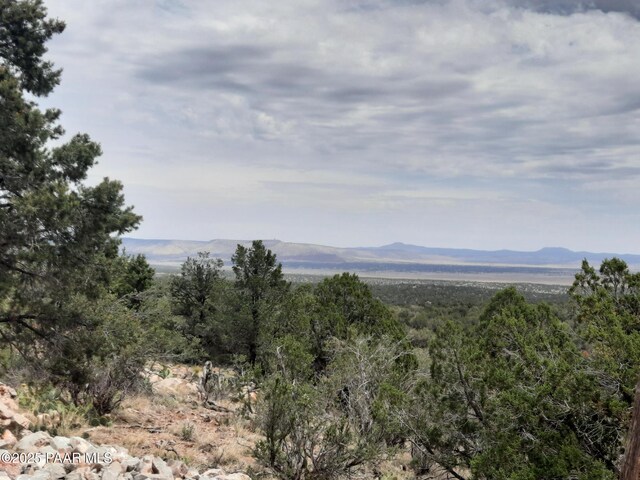 49203 N Sundance Way, Seligman, AZ 86337 - photo 21