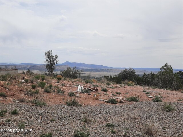 49203 N Sundance Way, Seligman, AZ 86337 - photo 23