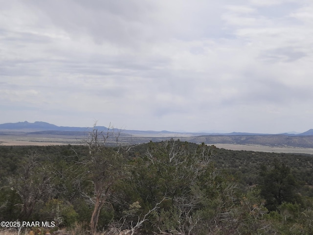 49203 N Sundance Way, Seligman, AZ 86337 - photo 20